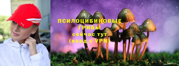 сатива Навашино
