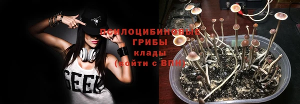 стафф Нея