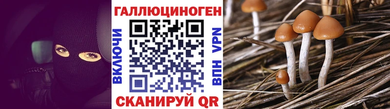 Псилоцибиновые грибы Psilocybe кракен ссылки Инта